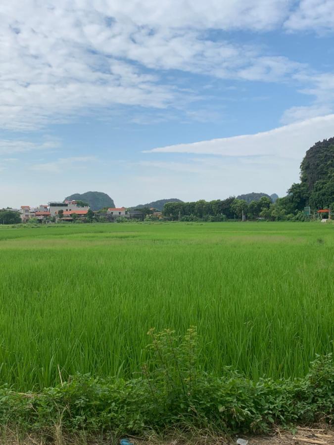 Tam Coc Wonderland Bungalow ニンビン エクステリア 写真